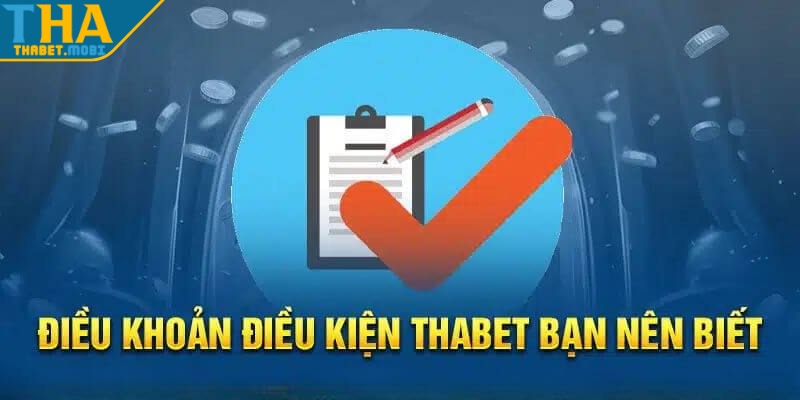 dieu khoan dieu kien nhin chung 1